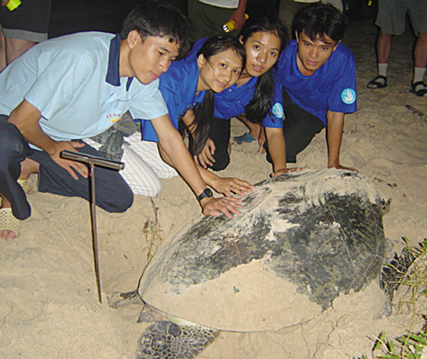 Du khách chụp ảnh lưu niệm với rùa tại hòn Bảy Cạnh, Côn Đảo.