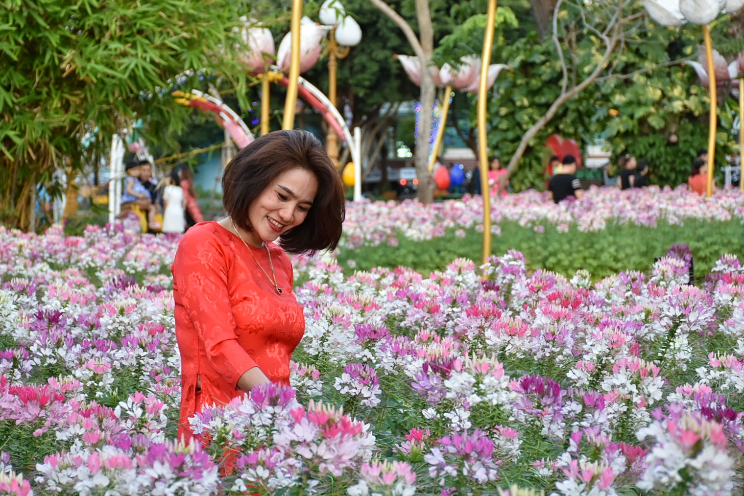Khu vườn hoa Hồng ri tại HHX thu hút các bạn gái đến chụp hình.
