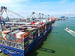 Nâng cao hiệu quả cụm cảng Cái Mép-Thị Vải: Cần giải pháp đồng bộ và dài hạn