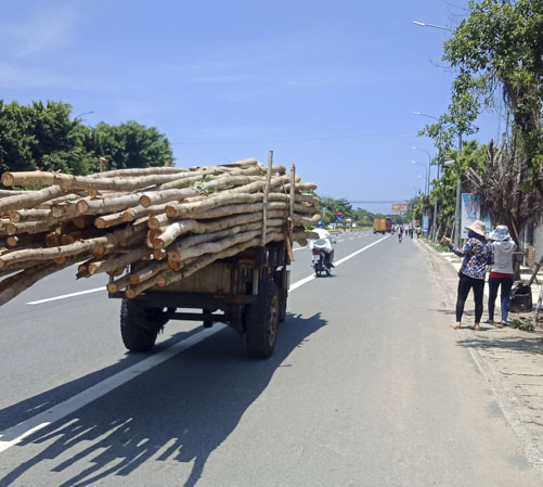 Một chiếc xe máy kéo tự chế chở gỗ cồng kềnh, chiều dài vượt thùng xe lưu thông  trên đường Võ Nguyên Giáp, TP.Vũng Tàu. 