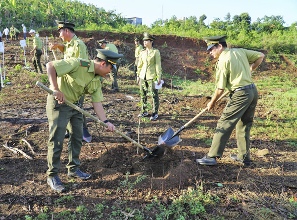 Chi cục Kiểm lâm tỉnh trồng cây xanh tại khu vực hồ chứa nước Núi Nhan.