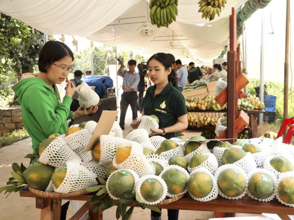 Khách hàng tham quan và mua các sản phẩm trưng bày.