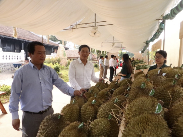 Ông Trần Văn Mãn, Phó Chủ tịch Hội Nông dân tỉnh tham quan gian hàng sầu riêng Ri 1 của hộ nông dân Phùng Ngọc Hùng (xã Láng Lớn, huyện Châu Đức).