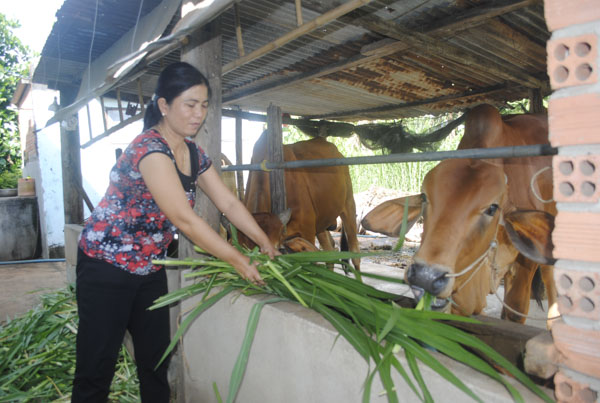 Từ nguồn vốn vay, chị Huỳnh Thị Thùy Linh (KP Tường Thành, thị trấn Đất Đỏ) đã vươn lên thoát nghèo.