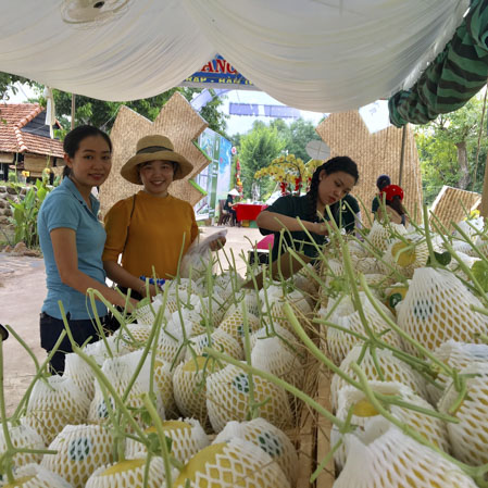 Khách tham quan, mua sắm tại gian hàng trái cây.