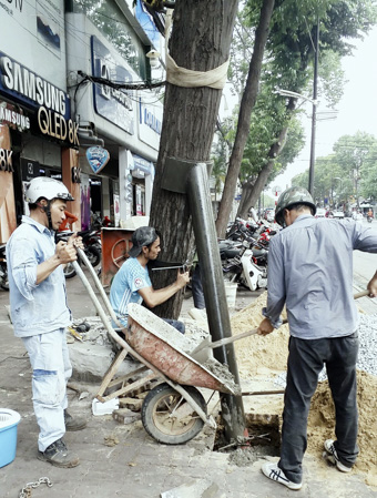 Công nhân Công ty CP phát triển công viên cây xanh và đô thị Vũng Tàu làm trụ bê tông và dùng cọc thép để chống đỡ cây sao bị nghiêng trên đường Nam Kỳ Khởi Nghĩa.