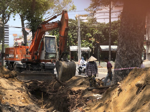Trong quá trình thi công mở rộng đường Trương Công Định, một số cây xanh bị ảnh hưởng do đơn vị thi công đào đặt mương nước.