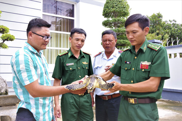 Ông Lê Hồng Phúc (bìa trái) bàn giao cá thể đồi mồi cho Trạm Biên phòng Cửa khẩu Cảng Vũng Tàu.