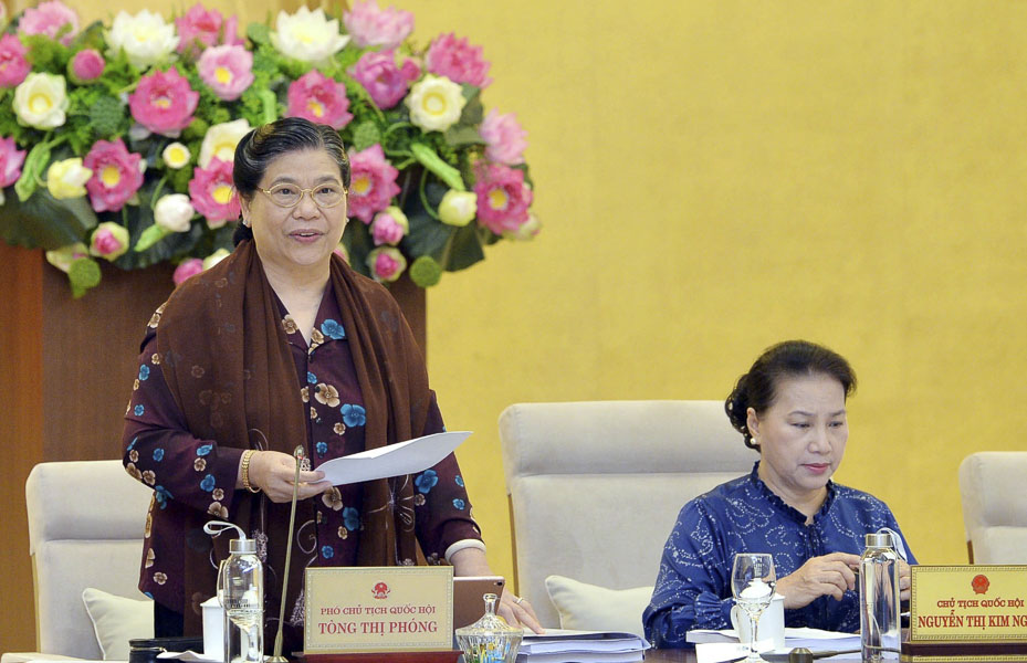 Phó Chủ tịch Thường trực Quốc hội Tòng Thị Phóng phát biểu  tại phiên họp. Ảnh: TRỌNG ĐỨC 