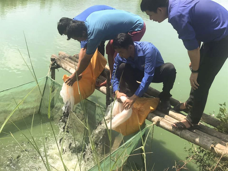 Đại diện Đoàn cơ sở TT.Long Điền và anh Nguyễn Quốc Khánh thả cá giống xuống hồ.