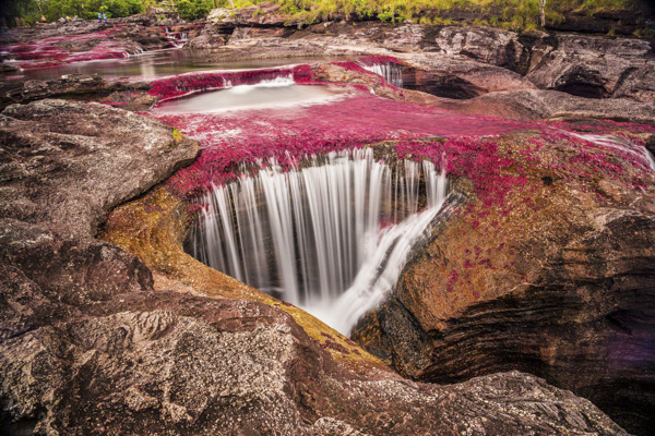 Dòng sông Caño Cristales (Colombia) được tương truyền là “trốn từ thiên đường xuống hạ giới cư ngụ”.