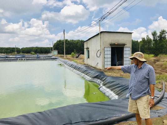 Nhà máy chế biến bột mì Hữu Minh đã đầu tư hệ thống xử lý nước thải sau khi di dời vào khu sản xuất tập trung tại xã Hòa Hưng, huyện Xuyên Mộc.