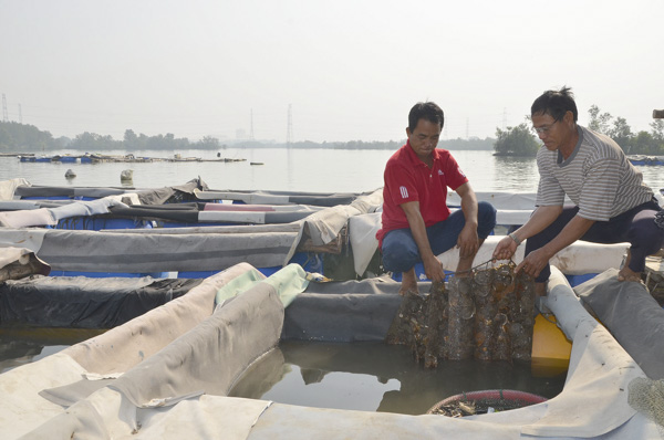 Người dân nuôi trồng thủy sản trên sông Thị Vải (thuộc hệ thống sông Đồng Nai).  Ảnh: MINH TÂM