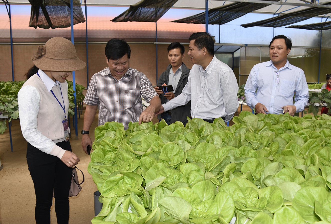 Đoàn công tác tỉnh BR-VT tham quan khu trồng rau thủy canh trong làng hoa Vạn Thành. 