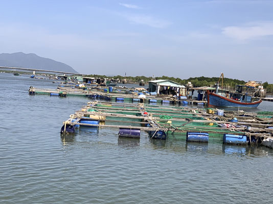 Lồng bè, đăng đáy nuôi trồng thủy sản hoạt động lấn chiếm luồng hàng hải sông Dinh.