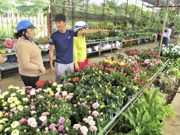 Chủ cơ sở kinh doanh hoa trên đường Bình Giã, TP. Vũng Tàu (ở giữa) giới thiệu các loại hoa Tết cho khách hàng.