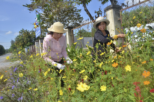 Hội viên Hội LHPN xã Châu Pha chăm sóc hoa trên tuyến đường tự quản thôn Tân Long.
