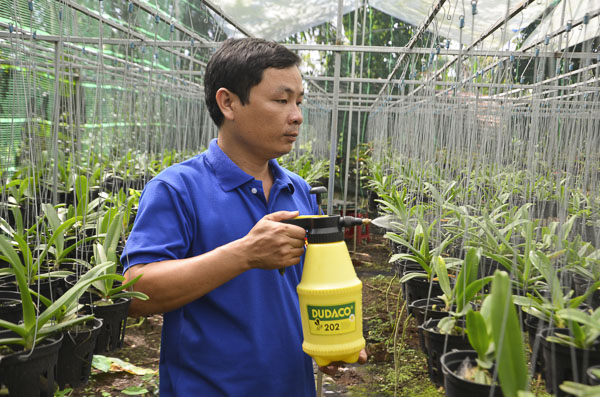 Anh Phùng Minh Vũ (ấp Tân Giao, xã Láng Lớn, huyện Châu Đức) chăm sóc vườn lan.