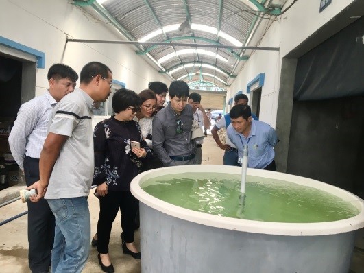 Đoàn công tác tìm hiểu cơ sở sản xuất và nhân giống hàu Mollusca HQ tại xã An Ngãi, huyện Long Điền.