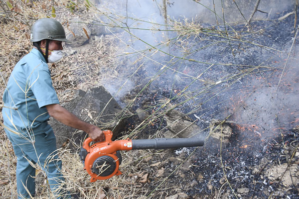 Lực lượng chức năng chữa cháy tại vụ cháy rừng Minh Đạm tháng 2/2020.