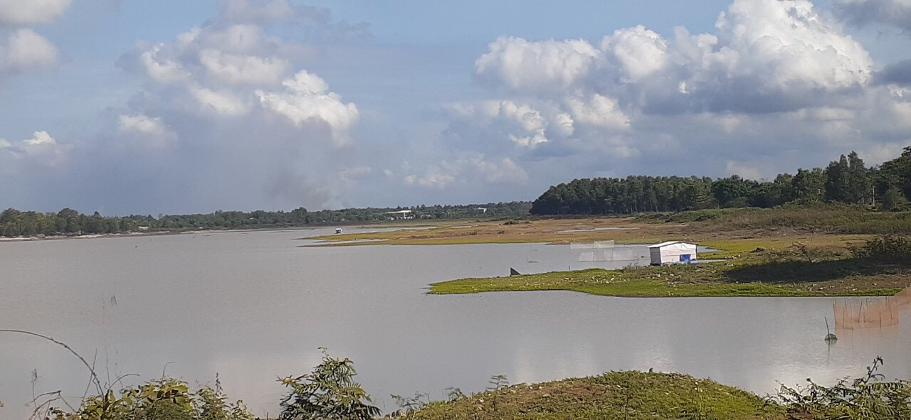 Nắng nóng kéo dài khiến mực nước hồ Châu Pha giảm mạnh, xuống dưới 13m.