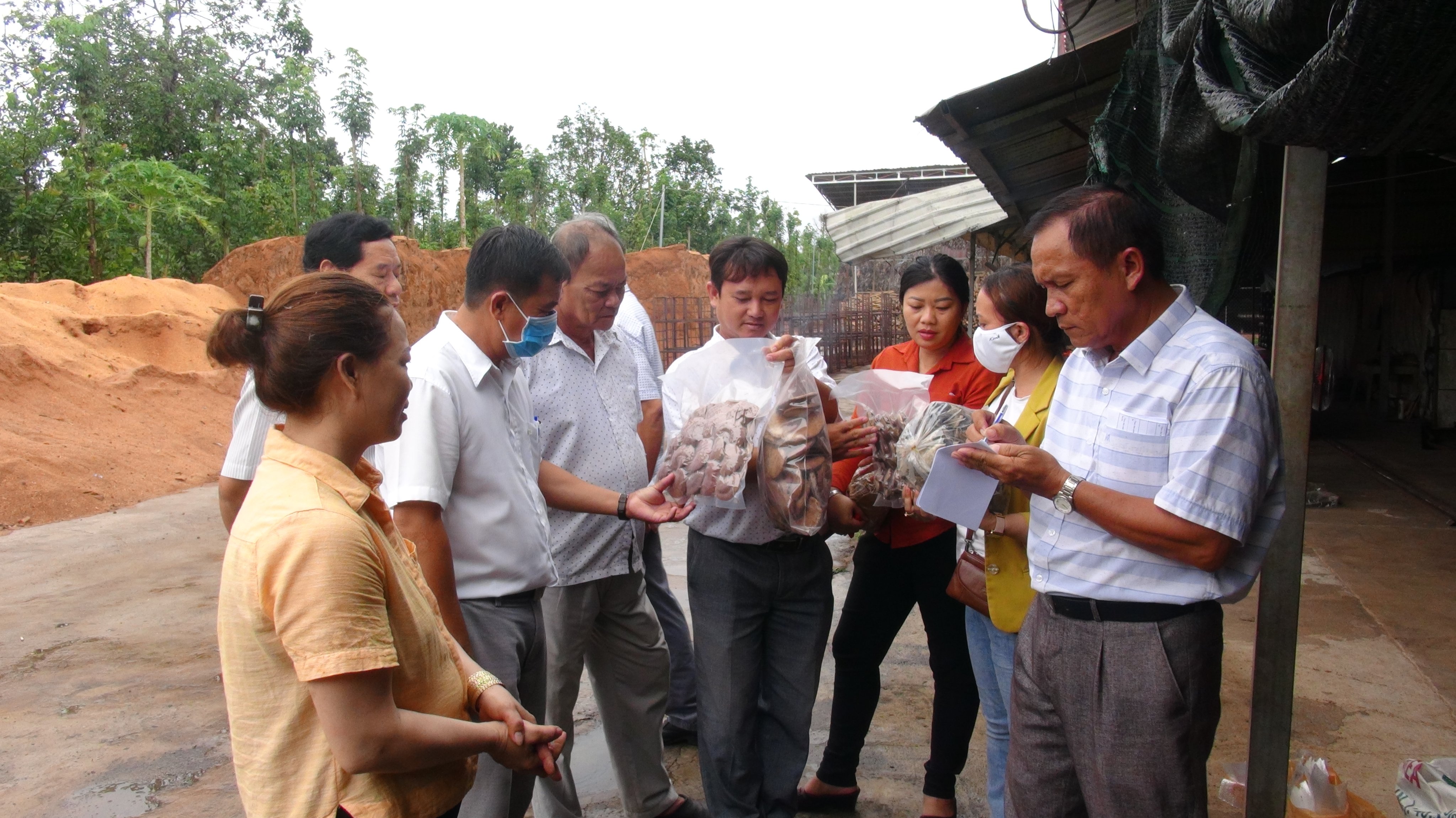 Cán bộ Hội Nông dân huyện Long Điền được bà Vũ Thị Hoàng Yến (chủ cơ sở sản xuất nấm linh chi Yến Khánh, xã Xà Bang) giới thiệu quy trình sản xuất nấm linh chi.