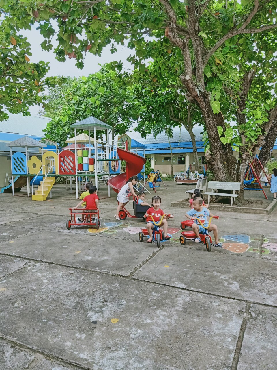 Các em nhỏ trường mầm non Hướng Dương (huyện Côn Đảo) vui chơi  trong sân trường có cây xanh.