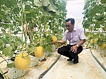 Đầu tư có chiều sâu để phát triển các loại hình kinh tế