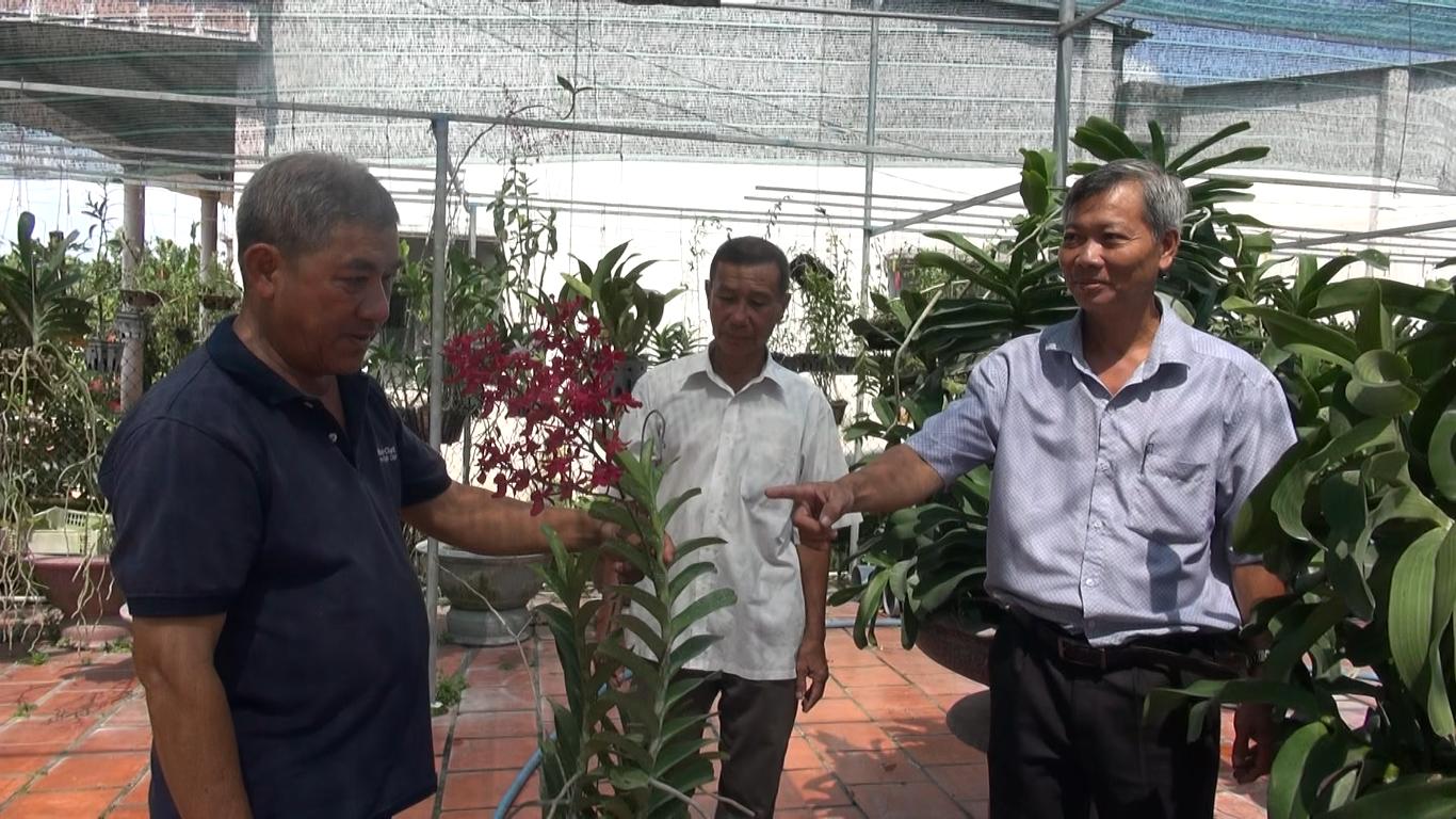 Hộ ông Phạm Văn Hiền (bên trái), ở ấp An Đồng, xã An Nhứt với gần 3000m2 diện tích trồng lan, cho thu nhập mỗi năm hơn 300 triệu đồng.