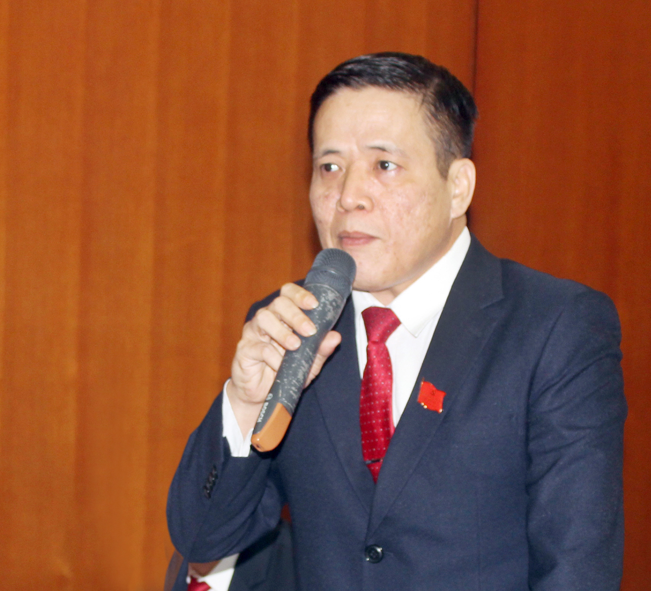 Đồng chí Trần Ngọc Hà, Trưởng Ban Tuyên giáo Thành ủy Vũng Tàu phát biểu ý kiến về công tác phát triển Đảng.
