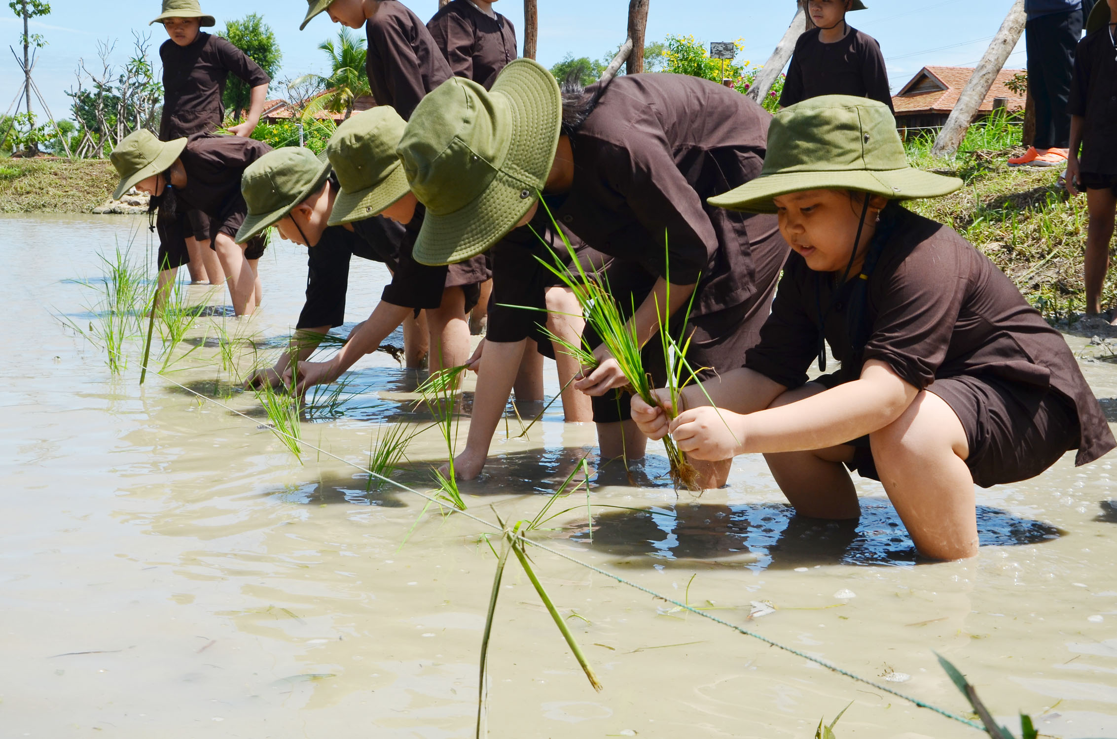 Các em thiếu nhi trải nghiệm trồng lúa nước tại nông trại Eco Tân Hưng.