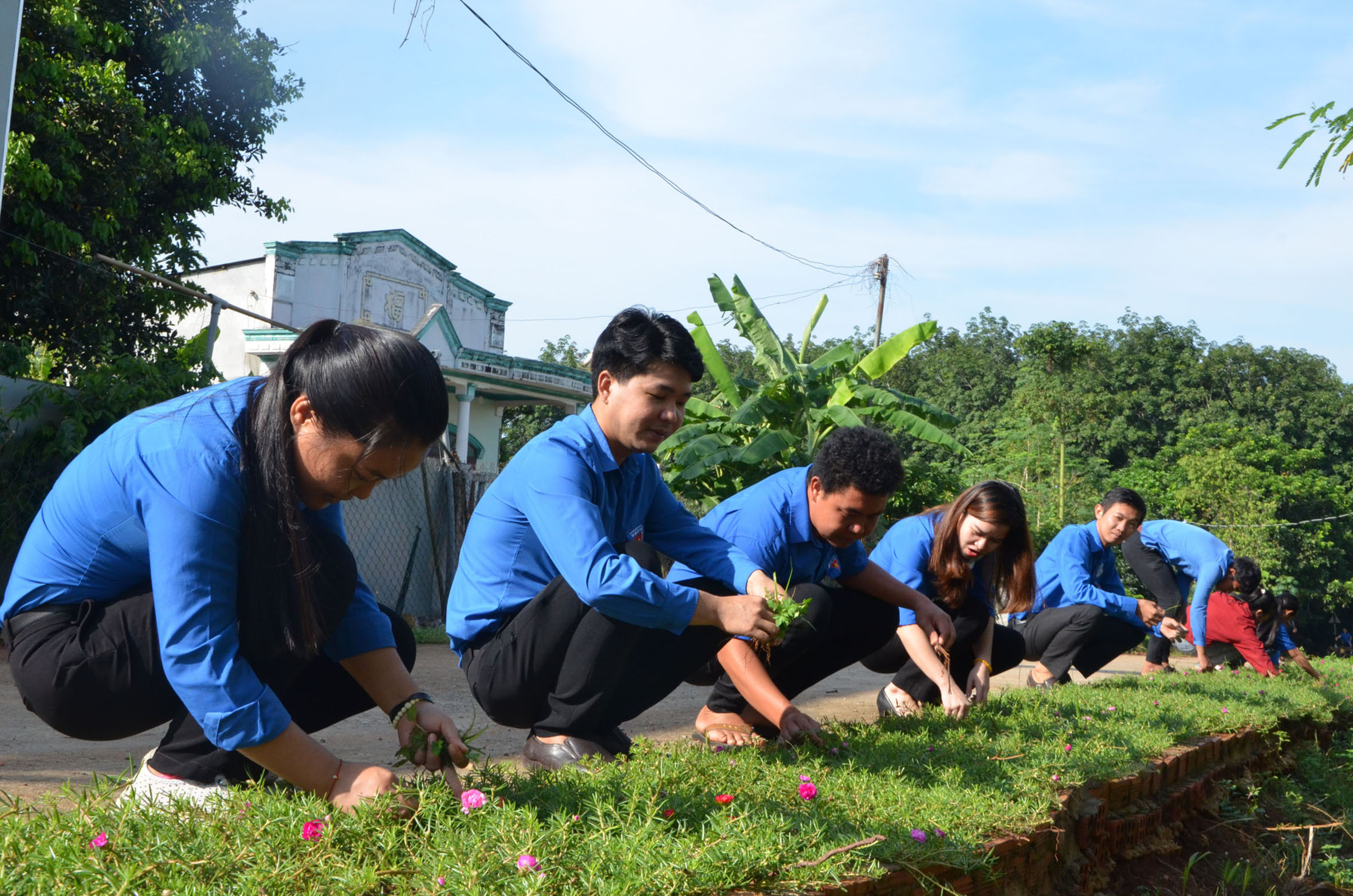 Đoàn thanh niên xã Sông Xoài ra quân dọn vệ sinh và trồng cây tại Tuyến đường thanh niên kiểu mẫu.