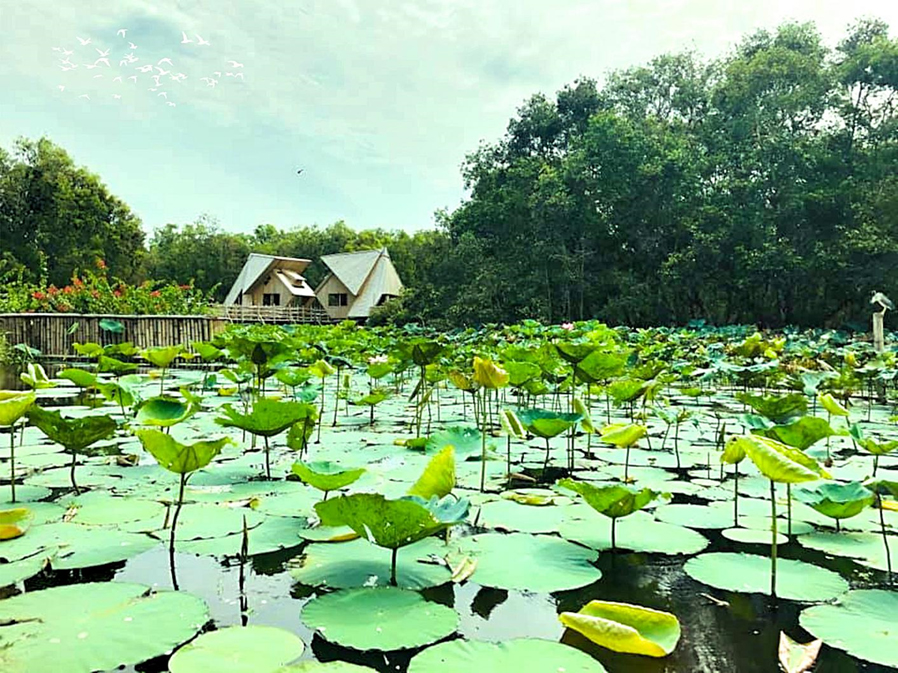 Rừng tràm yên bình và nên thơ mùa trĩu nặng phù sa.