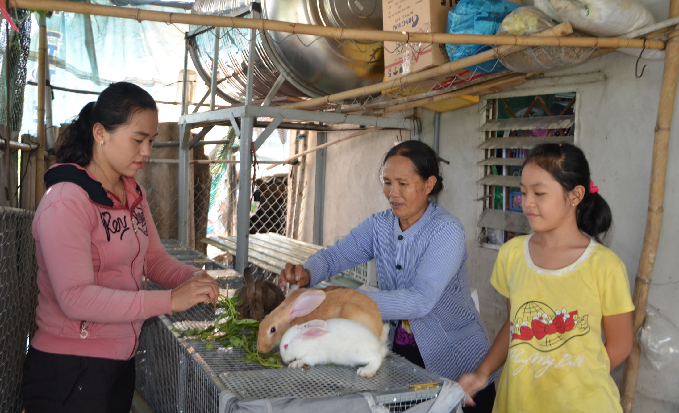 Bà Nguyễn Thị Năm (tổ 1, khu phố 4, phường Phước Hưng, TP.Bà Rịa) được UBMTTQVN phường hỗ trợ 20 con thỏ  trong mô hình “Hỗ trợ con giống giúp hộ thoát nghèo cải thiện đời sống”.