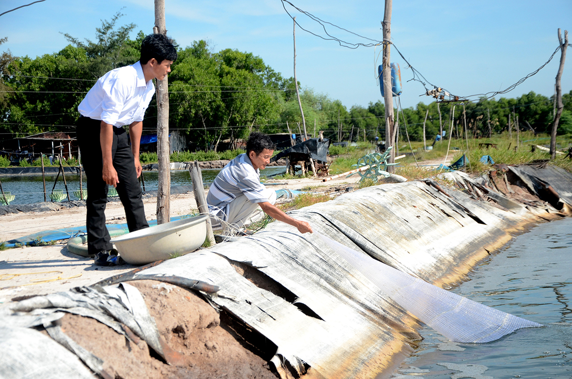 Sản lượng buôi trồng thủy sản của huyện trong năm 2020 tăng 15,49% so với cùng kỳ năm 2019. Trong ảnh: Nuôi tôm tại xã Lộc An, huyện Đất Đỏ.