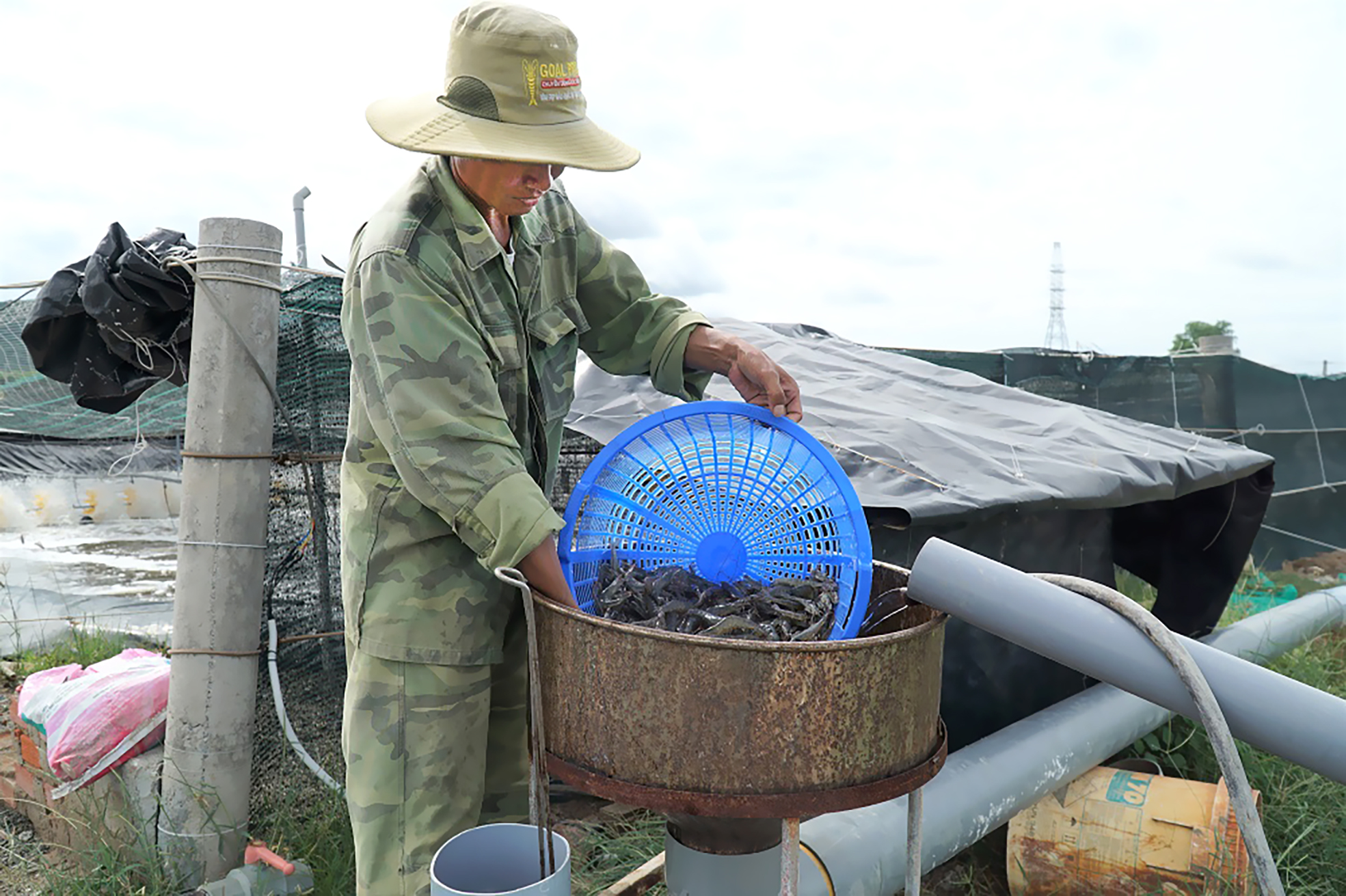 Toàn tỉnh hiện có 18 cơ sở nuôi trồng thủy sản và sản xuất giống UDCNC. Trong ảnh: Mô hình nuôi tôm công nghệ cao tại Liên Giang Farm, xã An Ngãi, huyện Long Điền.