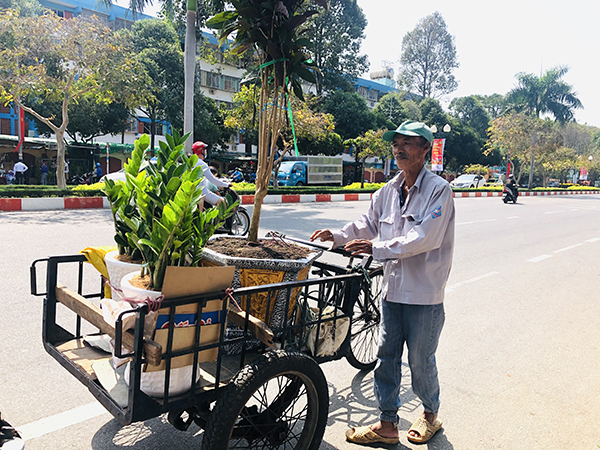 Dịch vụ chở cây cảnh thuê tại TP. Vũng Tàu.