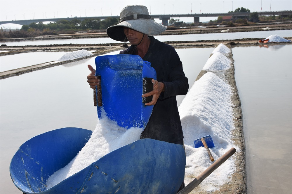 Sản xuất muối bị trễ vụ, sản lượng muối của gia đình ông Nguyễn Huỳnh Cao Tâm (thôn 8, xã Long Sơn, TP. Vũng Tàu) giảm so với năm ngoái.
