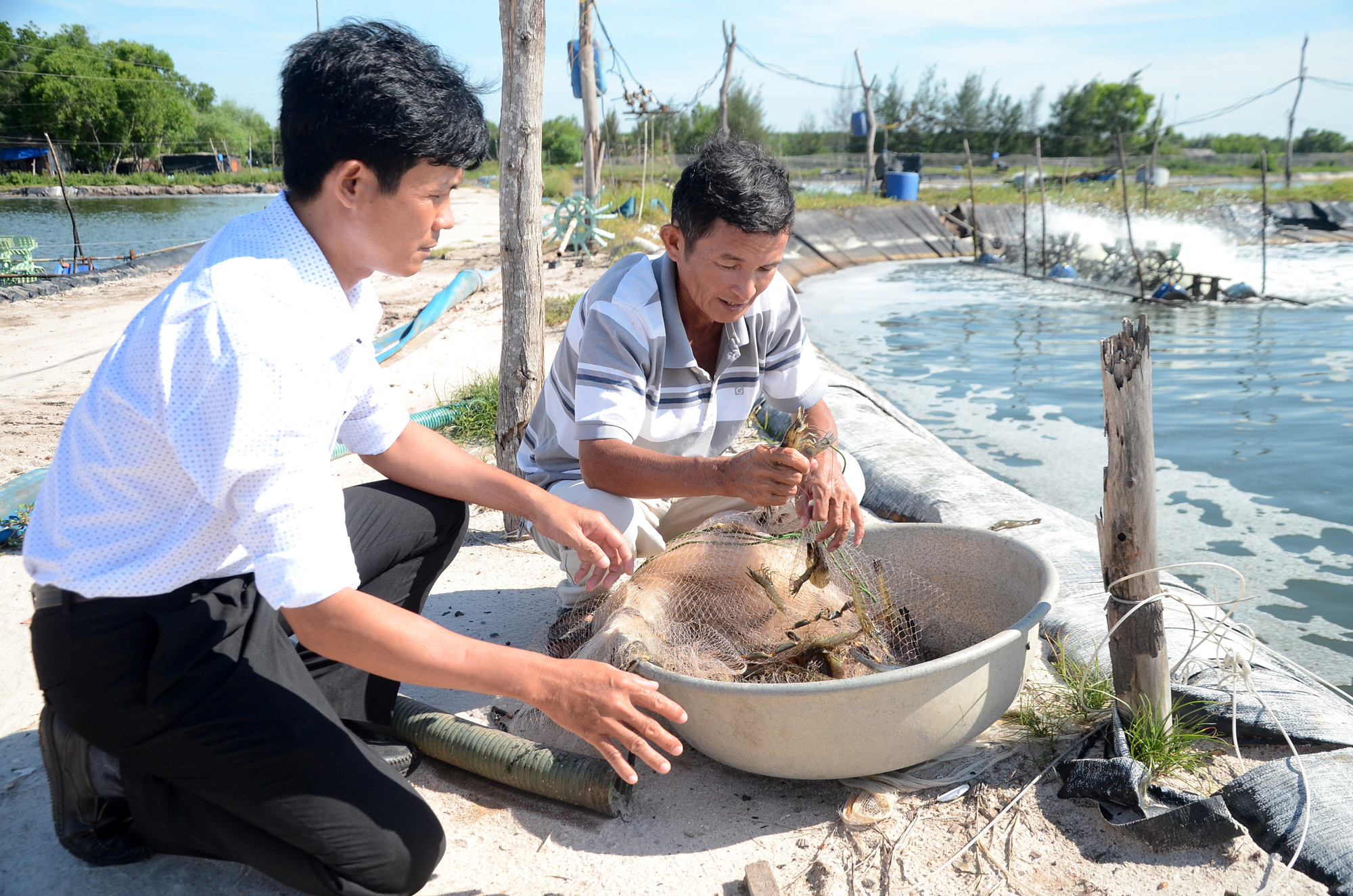 Thành phố Đà Nẵng phát triển ngành thủy sản theo hướng bền vững