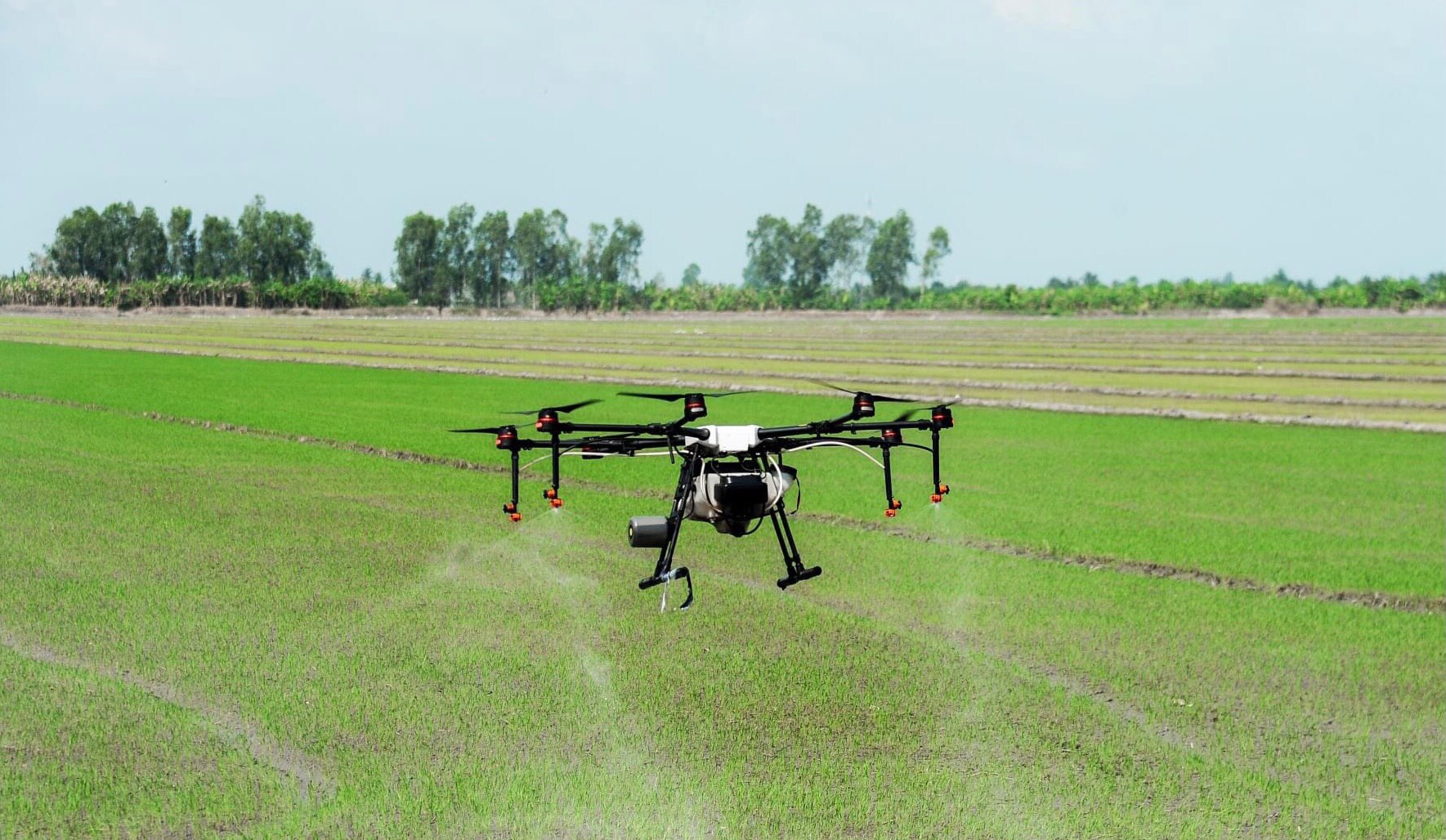 Sử dụng thiết bị bay không người lái phun thuốc BVTV giúp tiết kiệm chi phí sản xuất, giảm tác động của thuốc trừ sâu đối với môi trường  và ảnh hưởng đến nguồn nước, đất.