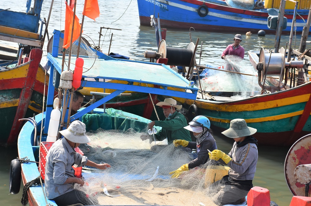 Chuyển đổi nghề cho ngư dân từ khai thác thủy sản tận diệt sang ngành nghề khác nhằm bảo đảm bền vững nguồn lợi hải sản.  Trong ảnh: Ngư dân xã Bình Châu, huyện Xuyên Mộc thu hoạch thủy sản sau chuyển ra khơi.