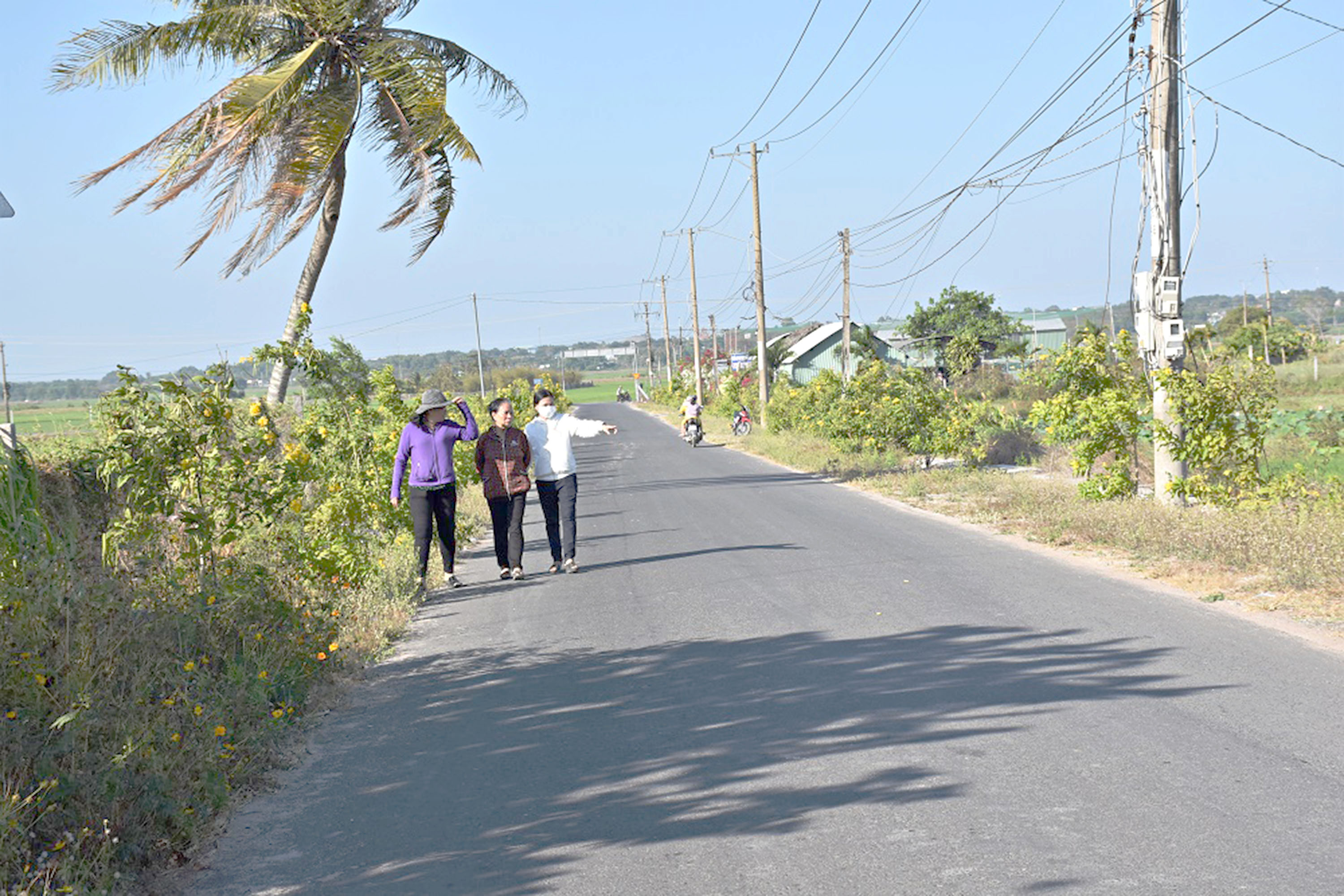 Đường làng, ngõ xóm khang trang, cuộc sống của người dân xã Tam Phước (huyện Long Điền) có nhiều đổi thay từ chương trình xây dựng NTM.