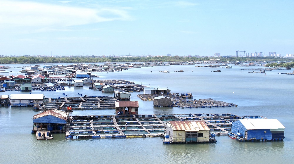 Đẩy mạnh xây dựng hạ tầng thủy sản là một trong những nội dung được đưa ra tại hội nghị. Trong ảnh: Một phần vùng nuôi cá lồng bè trên sông Chà Và  (xã Long Sơn, TP. Vùng Tàu).