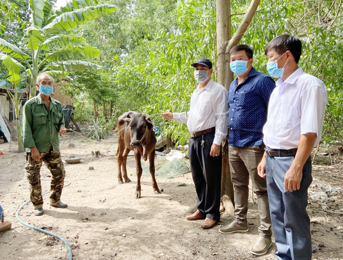 Đại diện Ủy ban MTTQVN phường Mỹ Xuân trao bò cho hộ ông Võ Văn Quyền.