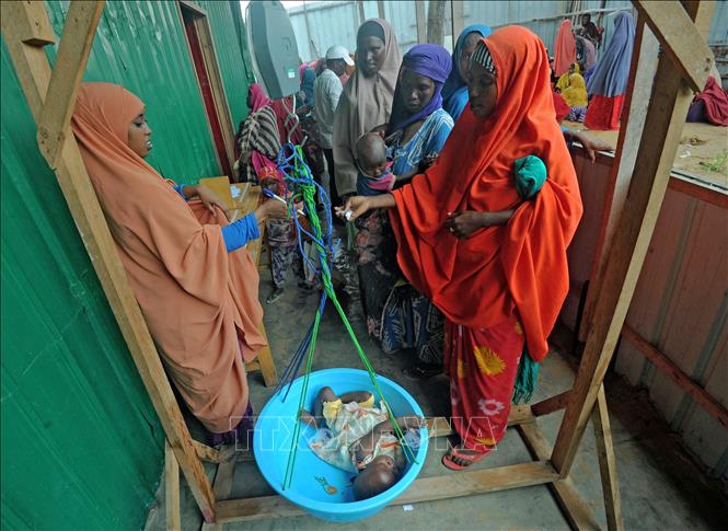 Trẻ em bị suy dinh dưỡng do thiếu lương thực tại khu vực ngoại ô Mogadishu (Somalia).