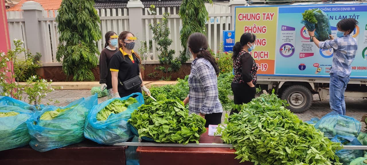 Nhóm thiện nguyện Sen Vàng hỗ trợ rau cho thị trấn Long Hải.