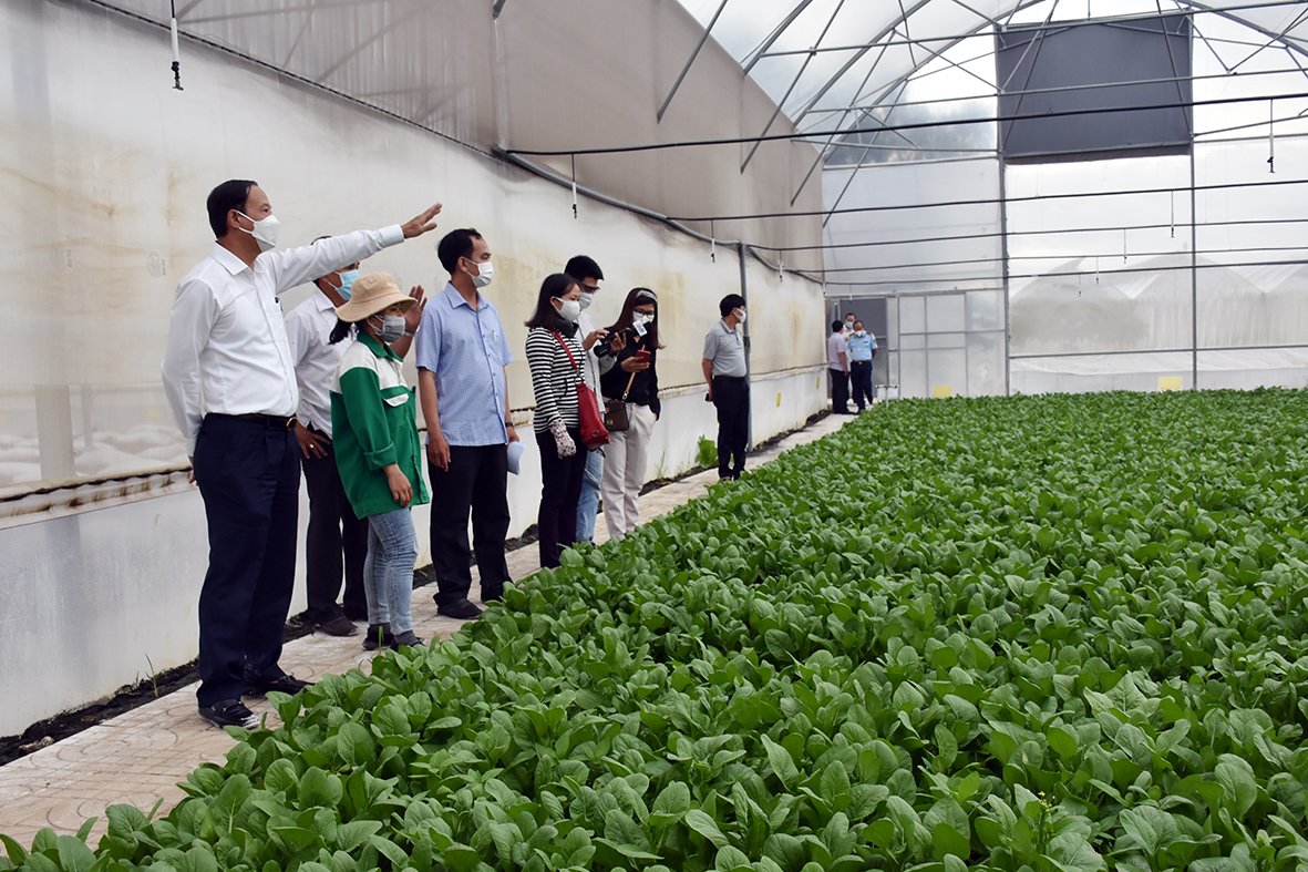 Ông Nguyễn Văn Thọ, Chủ tịch UBND tỉnh khảo sát tại Trang trại trồng rau trong nhà màn của Công ty TNHH MTV 4K Farm, xã Châu Pha, TX. Phú Mỹ.