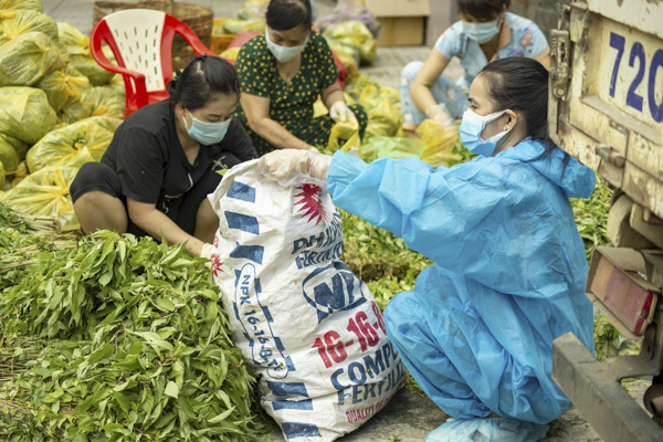 Các tình nguyện viên của Đội hỗ trợ khu cách ly (TP.Vũng Tàu) phân loại rau trước khi trao tới tay người dân.