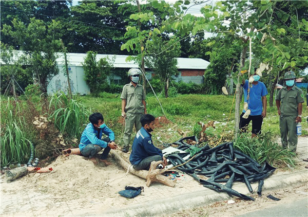 Các đối tượng bị bắt quả tang tại hiện trường gây án.