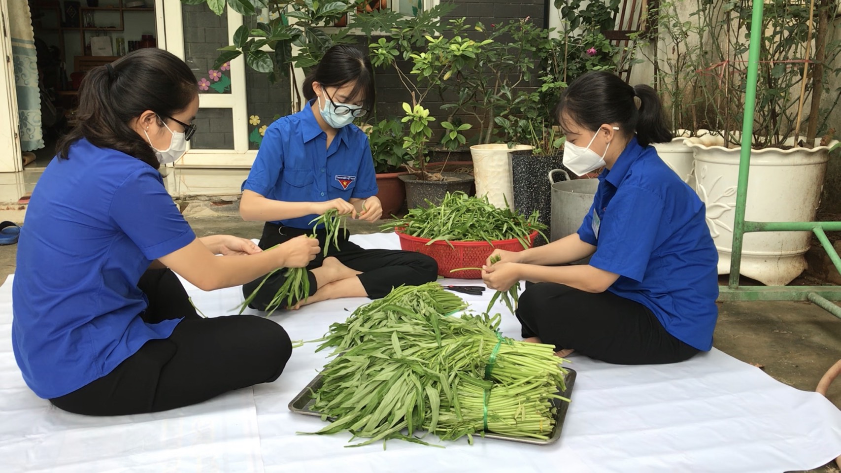 Các ĐVTN tranh thủ buổi sáng tới sớm, phụ chị Nga lặt rau, chuẩn bị nguyên liệu nấu ăn.